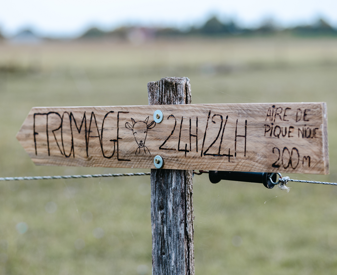 vente de fromage de chèvre à Villandry près de Tours en Indre-et-Loire 37